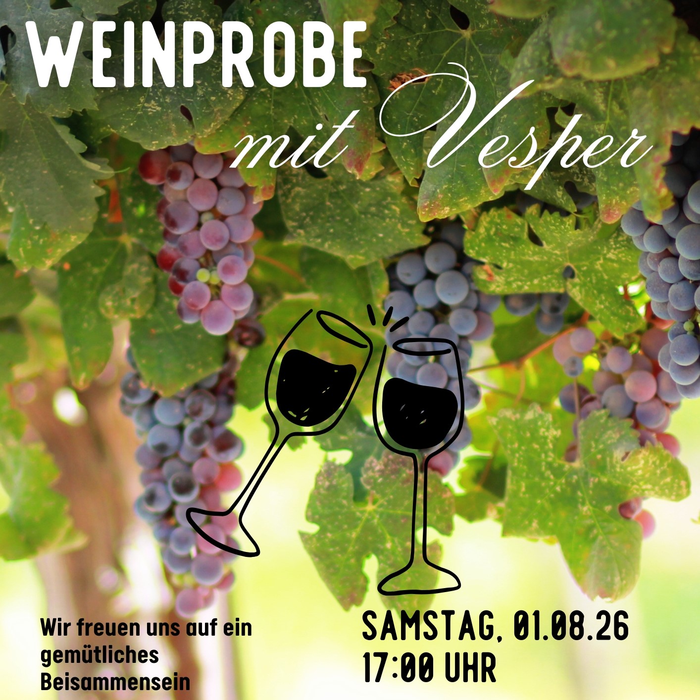 Weinprobe am 01.08.2026 mit Weingut Villa Burg bei MP my life (eine Person)